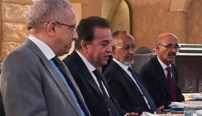 مصر حريصة على ترسيخ شراكات أفريقية مستدامة في المجال الصحي وبناء أنظمة متكاملة تخدم القارة
