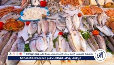أسعار السمك البلطي والبوري اليوم الاربعاء 25-6-2025 في محافظة قنا