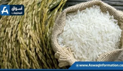 سعر الأرز اليوم الأحد لدى التجار.. ما هو سعر طن الشعير؟