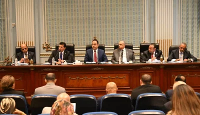 لجنة الشباب والرياضة بالبرلمان توافق على إنشاء شركات خدمات رياضية