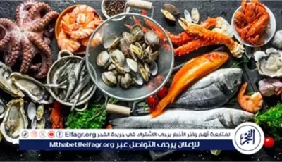 أسعار المأكولات البحرية والجمبري اليوم الثلاثاء 24-6 في محافظة الدقهلية