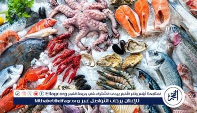 أسعار المأكولات البحرية والجمبري اليوم الثلاثاء 24-6-2025 في محافظة قنا