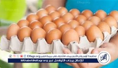 أسعار طبق البيض اليوم الاثنين 23-6-2025 في قنا
