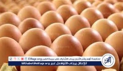 أسعار طبق البيض اليوم السبت 21-6-2025 في قنا
