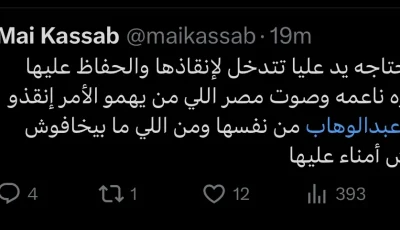 مي كساب تطلب المساعدة لإنقاذ شيرين وسط أزمتها