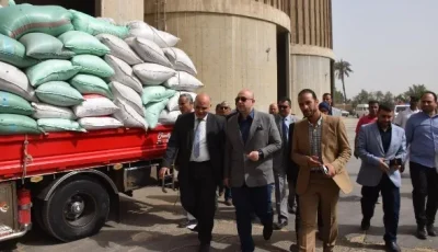 توريد 281,355 طن من القمح إلى صوامع بني سويف حتى الآن