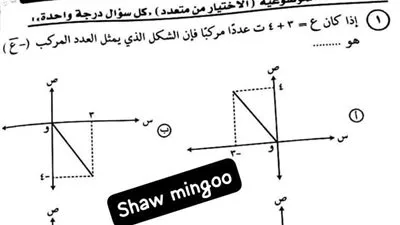 نشر أسئلة وإجابات اختبار الرياضيات المتقدم للثانوية العامة عبر التليجرام بعد بدء اللجان