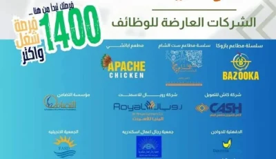 محافظ المنيا يُطلق غدًا برنامجًا لتأهيل 1000 شاب وشابة لسوق العمل