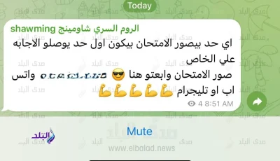 مجموعات الغش تشكل خطرًا على سلامة التعليم وامتحانات الثانوية العامة بحاجة إلى حماية معلوماتية
