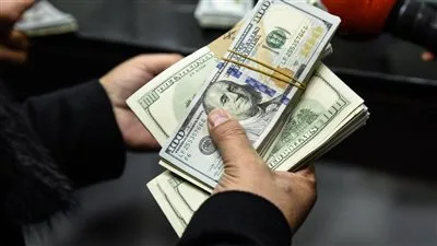 سعر الدولار مقابل الجنيه المصري في تداولات يوم الثلاثاء