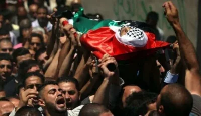 إسرائيل تخرق القانون الدولي في غزة.