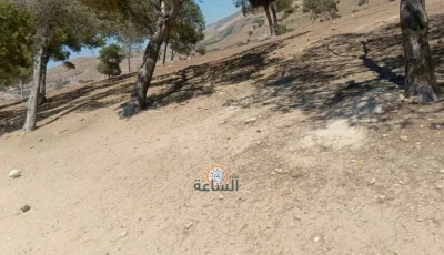 محافظ جرش يتدخل لإزالة المخالفات في برما (فيديو وصور)