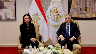 وزيرا العدل والتضامن الاجتماعي يبحثان تعزيز التعاون في ملفات حماية الأطفال وصندوق الأسرة