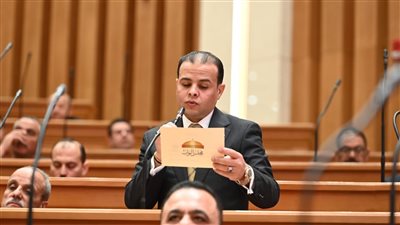 مصر تعزز دورها الدولي في وقف العدوان على غزة