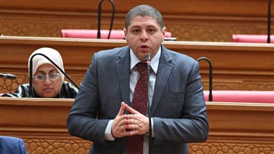 النائب أحمد جبيلي يتقدم بطلب إحاطة لتوحيد السلاسل التجارية وتفعيل البورصة السلعية