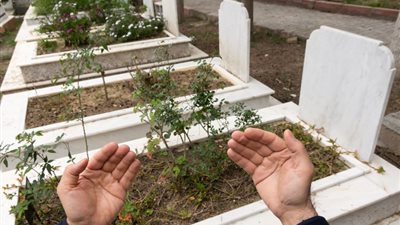 هدية الرحمة في الشهر الكريم