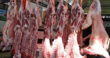 اللحمة بـ 240 جنيها.. أسعار اللحوم بكفر الشيخ الجمعة 20 فبراير 2026