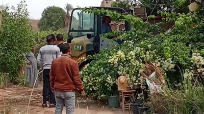 حبس غرامة 5 مليون جنيه.. عقوبات مشددة للتعدي على الأراضي الزراعية