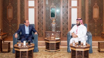 القمة المصرية السعودية في جدة.. تحالف سياسي لمواجهة التحديات الكبرى