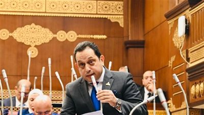 النائب محمد الجندي يطالب بتشديد الرقابة على سلاسل الإمداد لضبط الأسعار وتحقيق توازن الأسواق