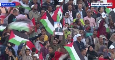برلمانى: مصر انتصرت للقضية الفلسطينية دفاعًا عن الأمن القومى العربى