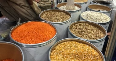 الفول البلدي بكام؟.. أسعار البقوليات ومشتقات الدقيق فى الغربية اليوم
