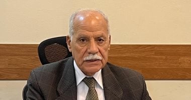 العربى الناصرى: نشر الشائعات محاولة يائسة للنيل من تماسك الجبهة الداخلية