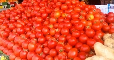 الطماطم بكام؟.. أسعار الخضراوات والفواكه بالغربية الثلاثاء 24 فبراير 2026