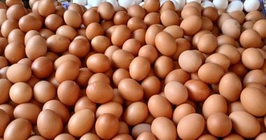 اعرف أسعار الألبان والبيض والشاى والبقوليات بسوهاج