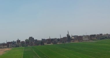 طقس غد دافئ نهارا شديد البرودة ليلا وشبورة صباحا والصغرى بالقاهرة 12 درجة