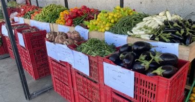 الطماطم بـ 5 جنيهات.. استقرار أسعار الخضراوات في بورسعيد اليوم الأحد 22-2-2026
