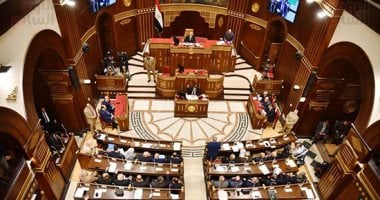 برلمانية تطالب بإدراج الأدب والفن النوبى فى مناهج التعليم وقصور الثقافة