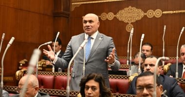 برلماني: استكمال الاستحقاق الدستورى للمجالس المحلية خطوة محورية