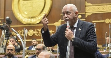 حازم الجندى: مشاركة مصر فى مجلس السلام تؤكد دورها المحورى