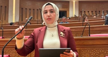 نائبة: الدراما الهادفة تعزز الهوية وتحمى الأجيال الجديدة من الانحراف الفكرى