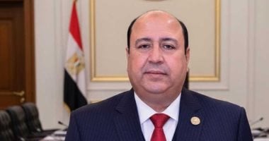 عضو بالشيوخ: زيارة الرئيس السيسى للسعودية تأتى فى توقيت هام للتنسيق بين البلدين