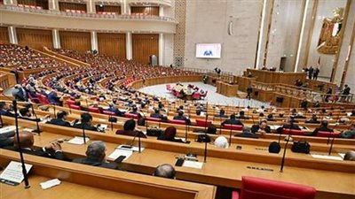 النائب رضا عبد السلام يطالب بحل أزمة إجازات عمال الكهرباء ويرفض تحويل العاصمة الإدارية إلى «مقاطعة»