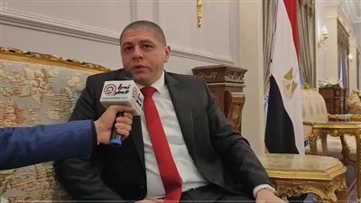 لقاء الرئيس السيسي وولي العهد يعكس إرادة سياسية لتعزيز التكامل العربي