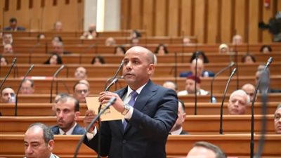 توجيهات الرئيس السيسي بشأن المحليات قبلة حياة للتنمية وترسيخ لمبادئ الجمهورية الجديدة