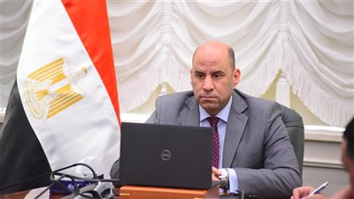 تعزيز فرص التشغيل وحماية الحقوق.. وزير العمل يجتمع بالملحقين العماليين عبر الفيديو كونفرانس