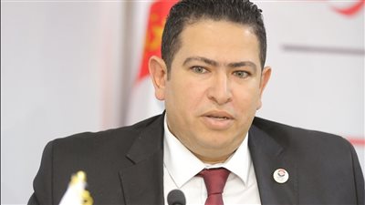 تحركات مصر في مجلس السلام تعكس ريادتها الإقليمية