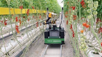 «روبوتات الحصاد» تُحدث تطور في الإنتاج الزراعي الصيني.. هل تعتمدها مصر لتعزيز الصادرات؟
