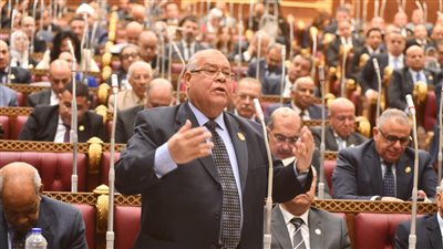 غياب المحليات أضعف الرقابة الشعبية والإسراع بإصدار القانون ضرورة وطنية