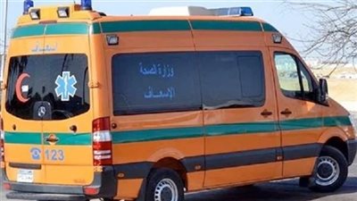 إصابة 3 أشخاص بينهم طفل في مشاجرة بالأسلحة البيضاء بقرية الأحمدية في شربين