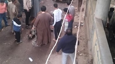 صدمة المزارع.. ماس كهربائي ينهي حياة رأسي ماشية في البدرشين