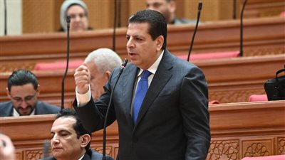 طلب إحاطة بشأن التأخير المتكرر في إحلال وإعادة إنشاء مبنى الاستقبال والطوارئ بمستشفى منية النصر بالدقهلية