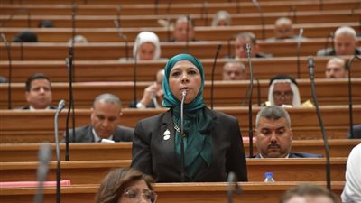 النائبة مريم العزب: تعديلات قانون سجل المستوردين تتماشى مع متطلبات المرحلة الاقتصادية وتدعم بيئة الاستثمار