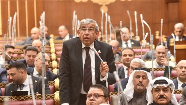 برلماني يطالب بتعديلات تمنح “الشيوخ” صلاحيات أوسع في التشريع والرقابة