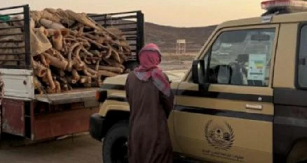 «الأمن البيئي»: ضبط مخالف في محمية الأمير محمد بن سلمان الملكية – أخبار السعودية
