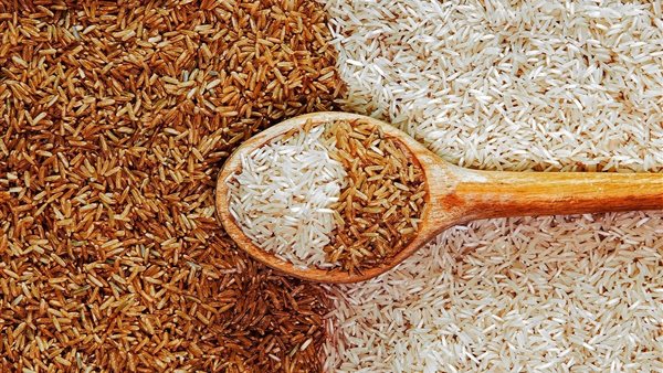 سعر طن الأرز الشعير اليوم الخميس 28 مايو 2026 وأسعار الأرز الأبيض